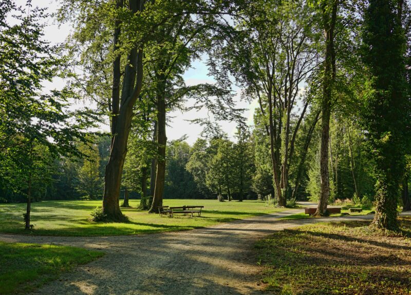 park